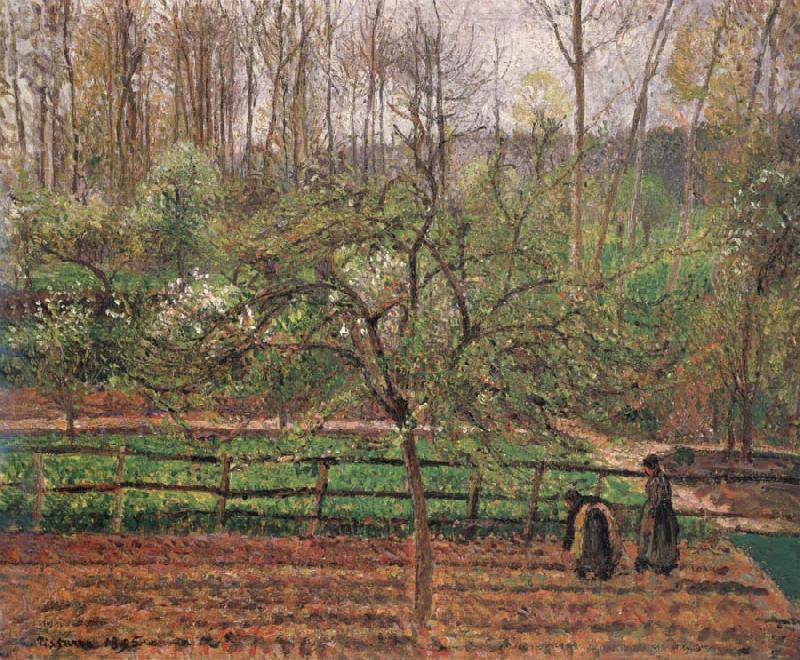 Camille Pissarro Springtime,grey weather,Eragny oil painting image